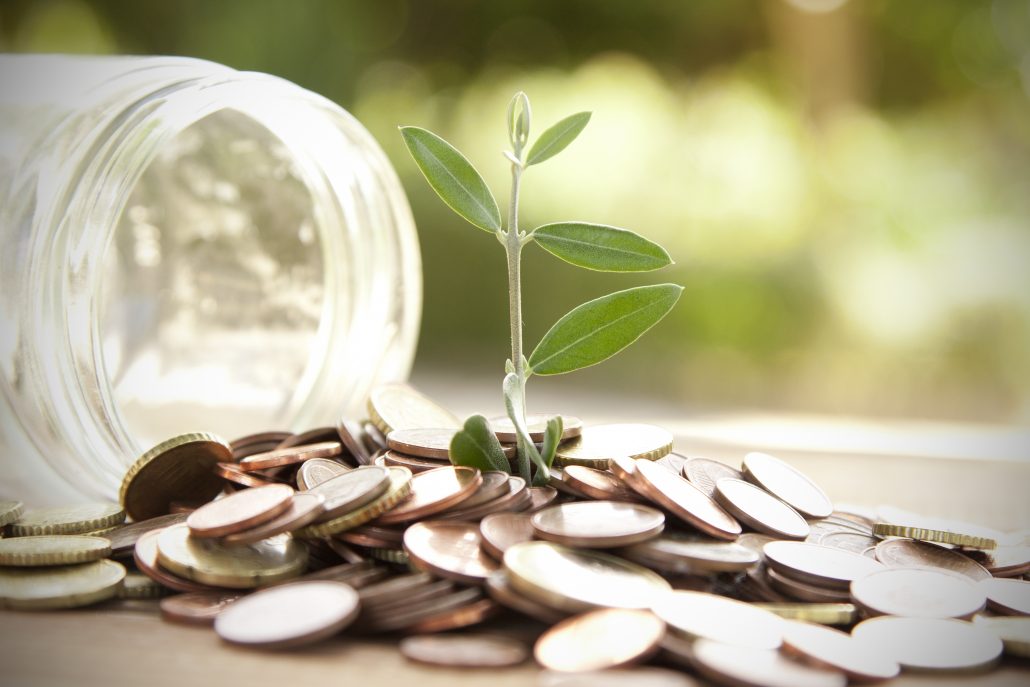 charity-seeds-coin-sprout-1030x687